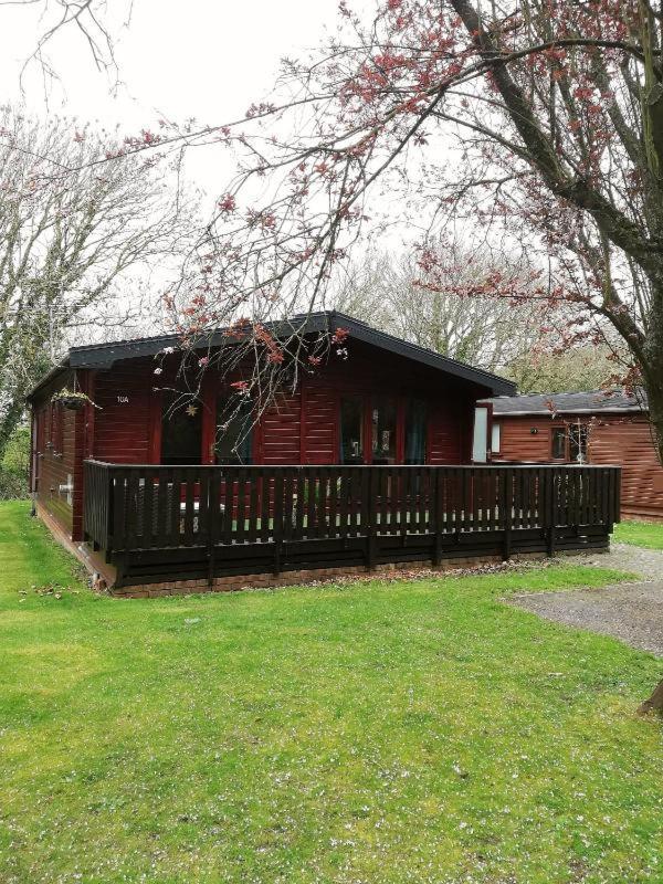 Wooden Forest Lodge By The Sea Milford on Sea Exterior foto