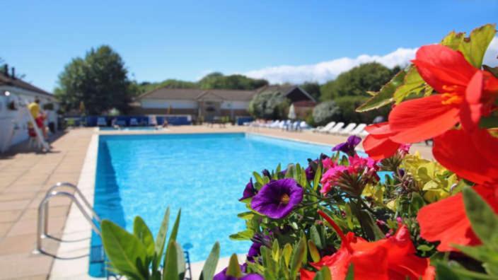 Wooden Forest Lodge By The Sea Milford on Sea Exterior foto